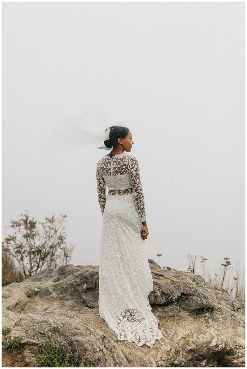 Bhldn hotsell celestine gown